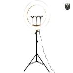 led HQ21 RING 21 ” Ring Light - תאורת רינג בגודל 21 אינץ'